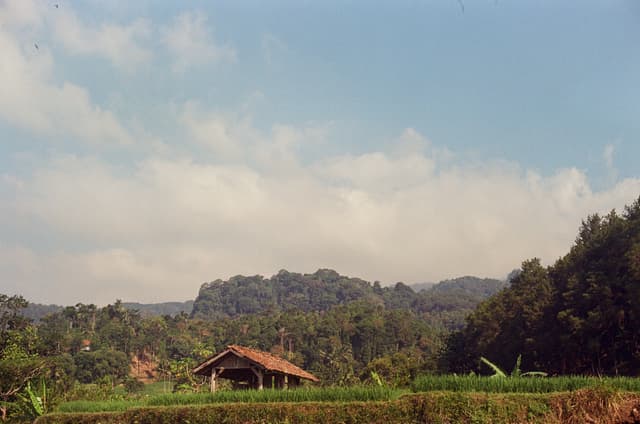 Foto 13